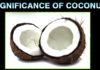 Significance of Coconut
